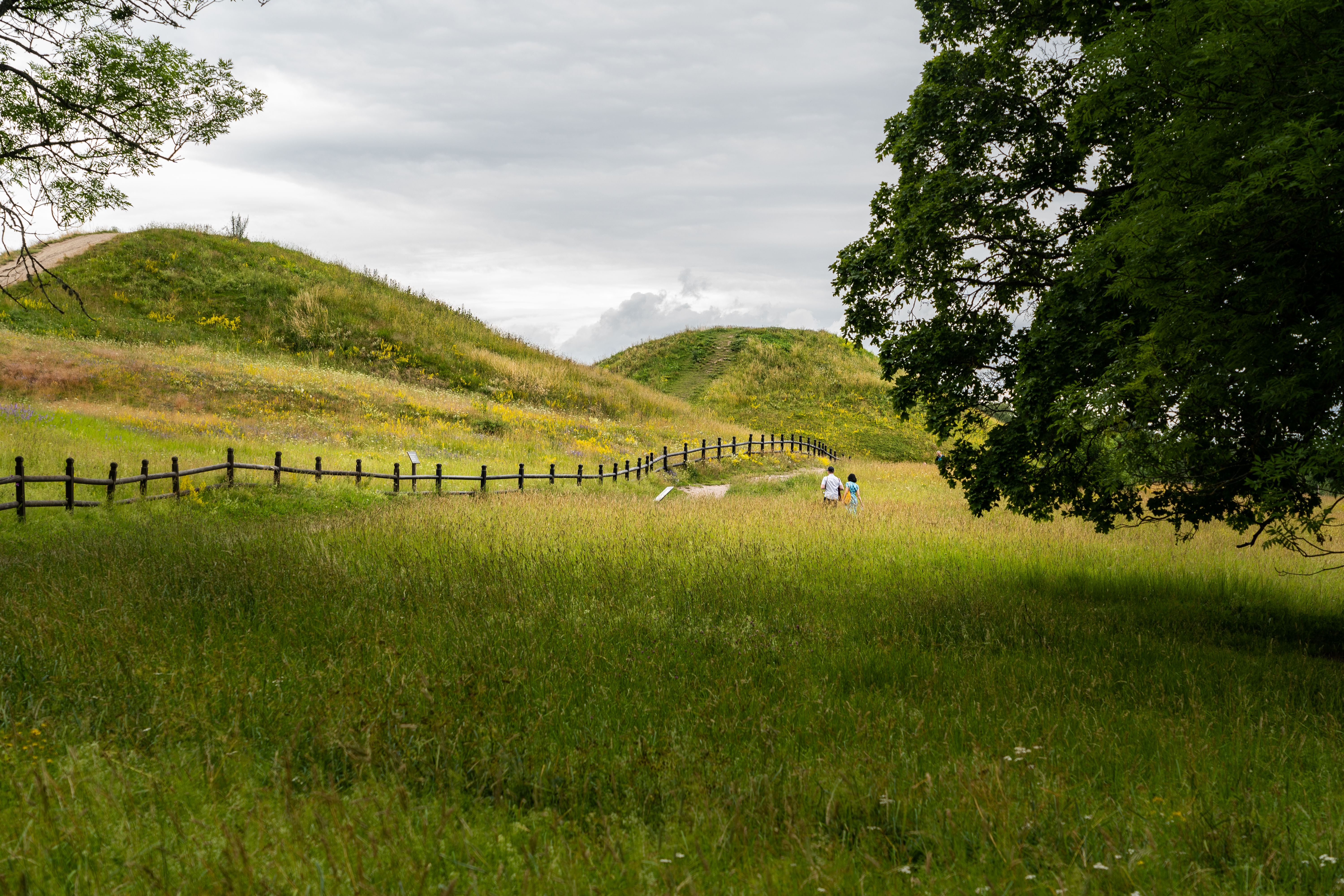 Gamla Uppsala
