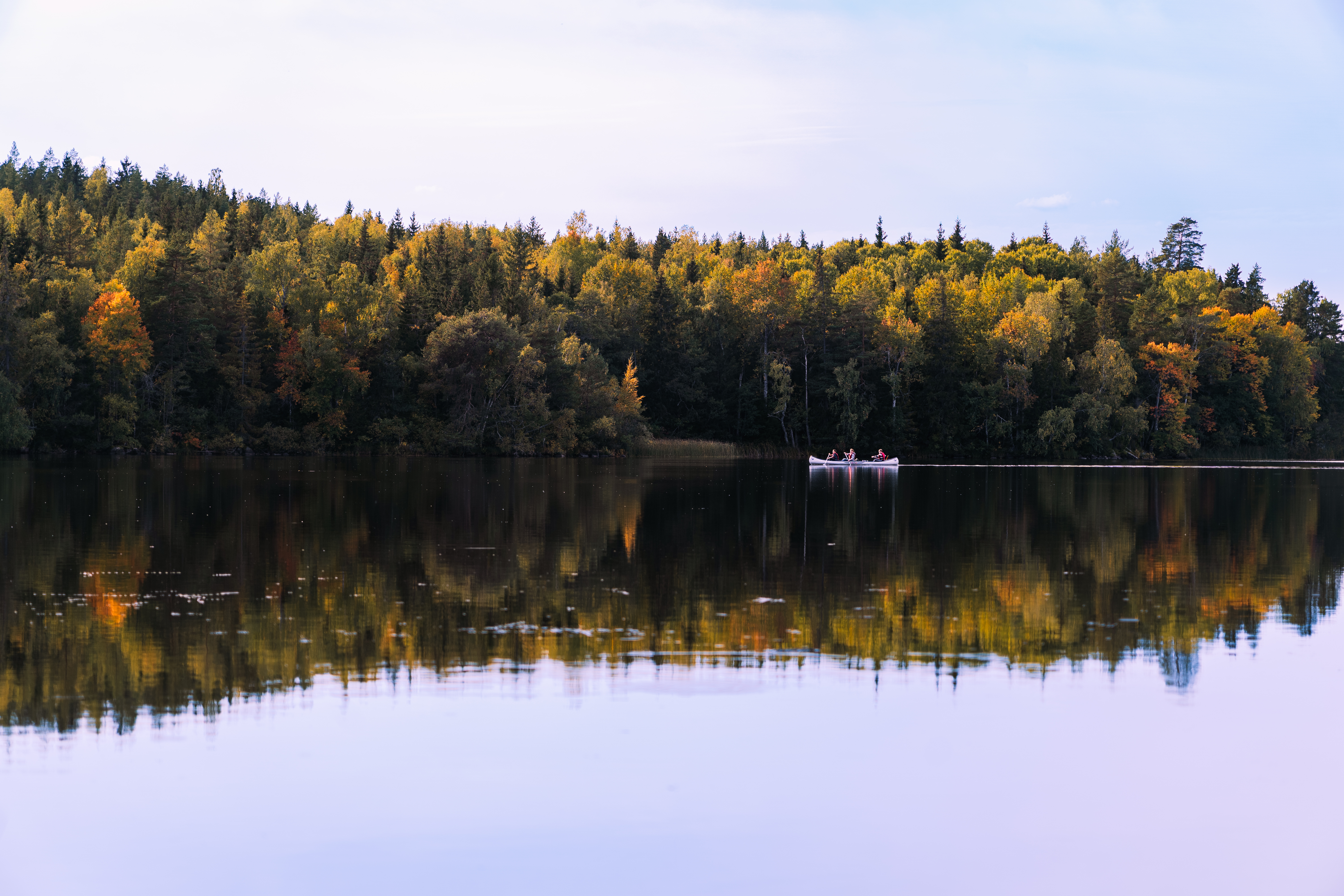 Fjällnora