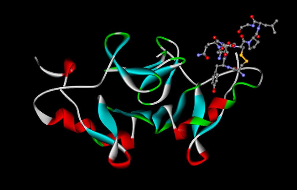 oxytocin