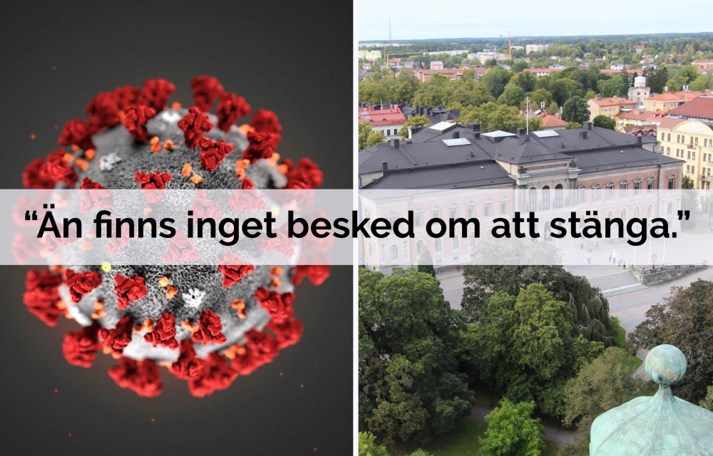 Bild universitetshuset