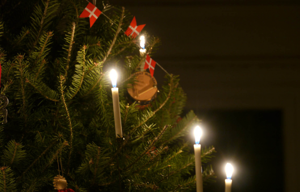 Dansk julgran