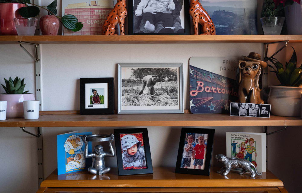 Emelie's shelves