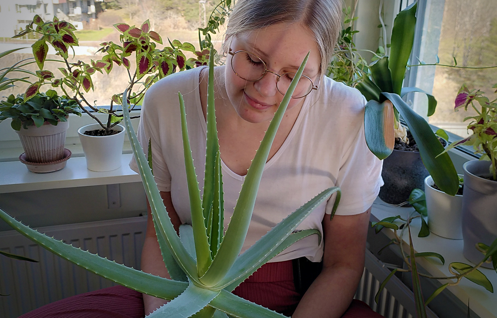 Susanna med sin stora aloe vera