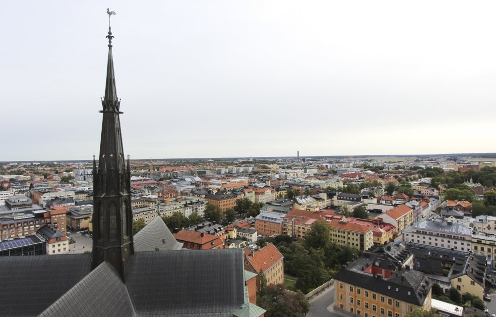 Uppsalavy