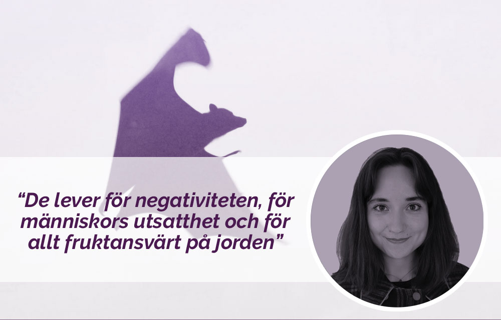 Bild fladdermus
