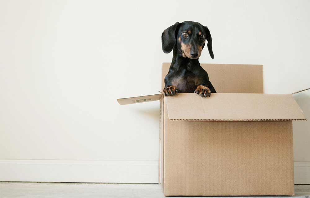 Konsumentkollen reder ut returen! 