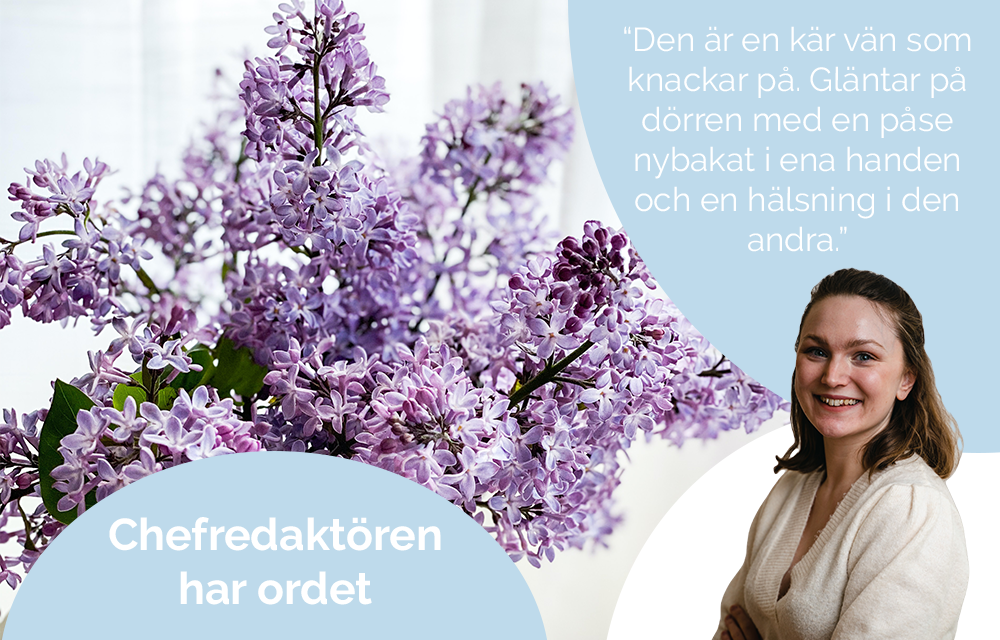Chefredaktören har ordet