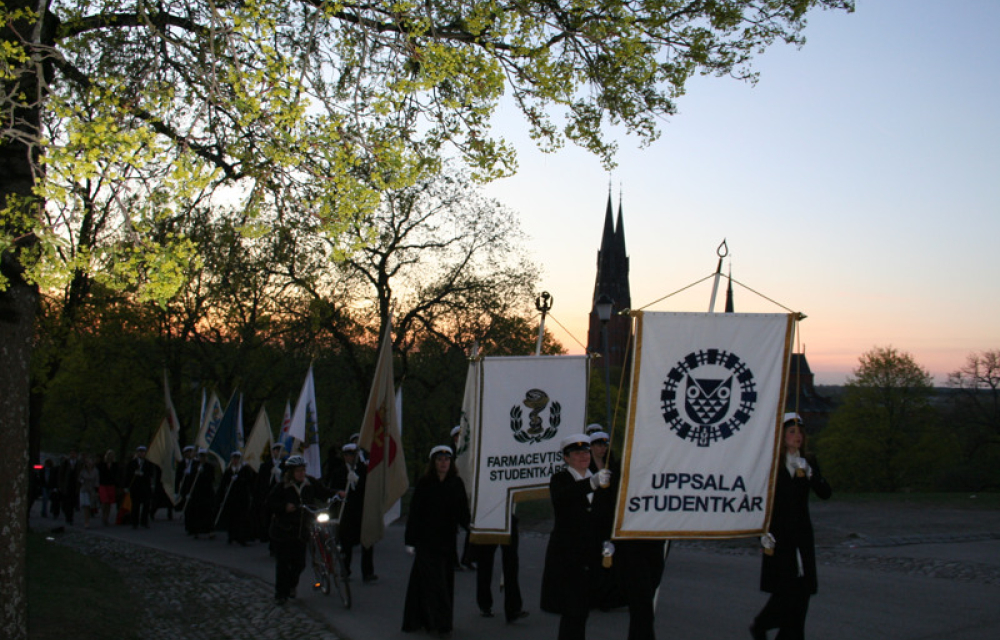 Uppsala studentkår