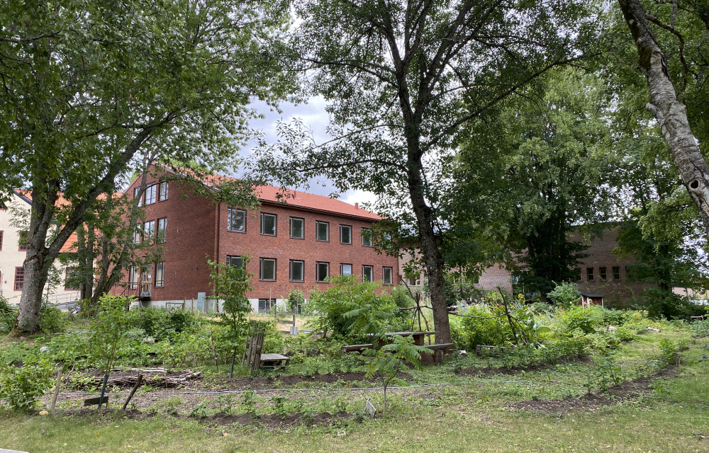 the Campus Garden