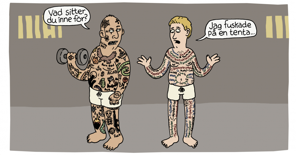 Bild: Kalle Landegren