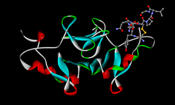 oxytocin
