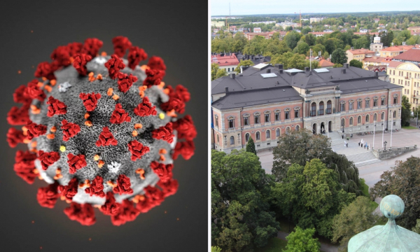 Covid + unihuset