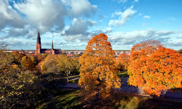 Uppsala